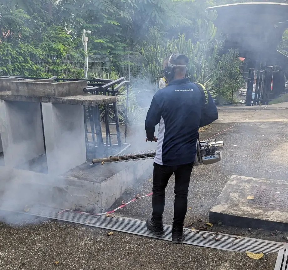 Professional from All Out Pest Control showcasing mosquito control services