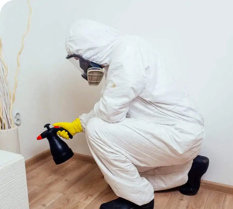 Pest control expert spraying to prevent pests.