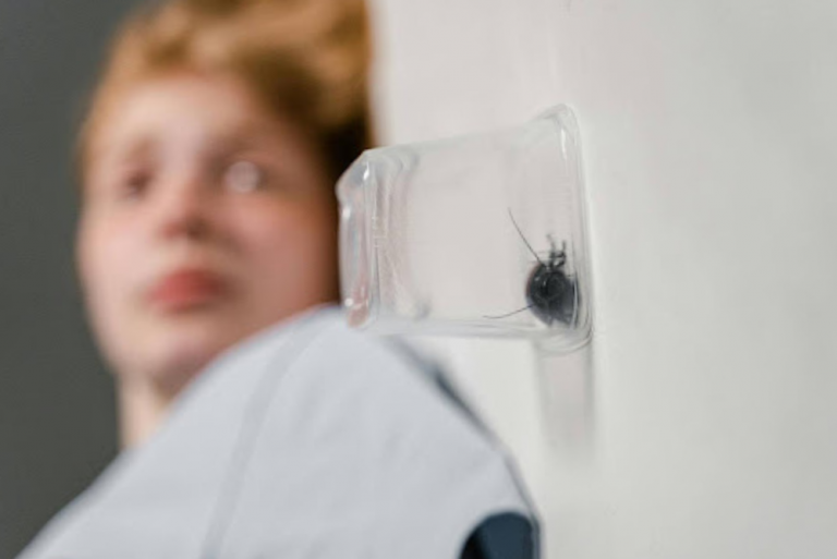 Protect your patients, staff, and reputation with professional pest control for healthcare facilities