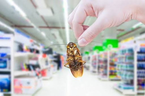 Hand holding cockroach in the supermarket,eliminate cockroach in shopping mall