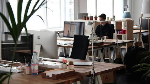 Maintaining a clean and pest-free workspace