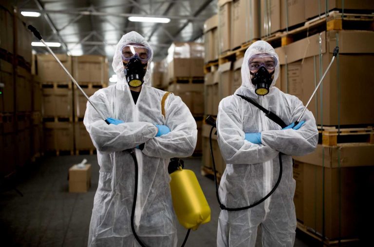 Pest control professionals in protective suits