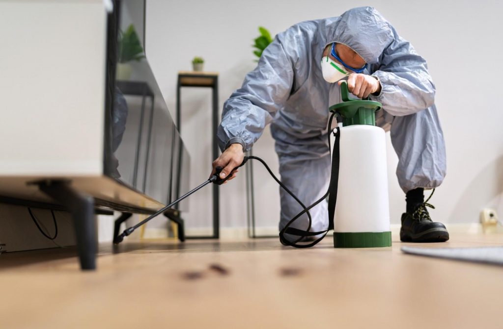 Pest control worker spraying insecticide in a food processing company