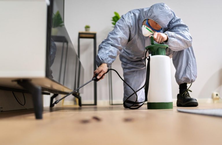 Pest control worker spraying insecticide in a food processing company