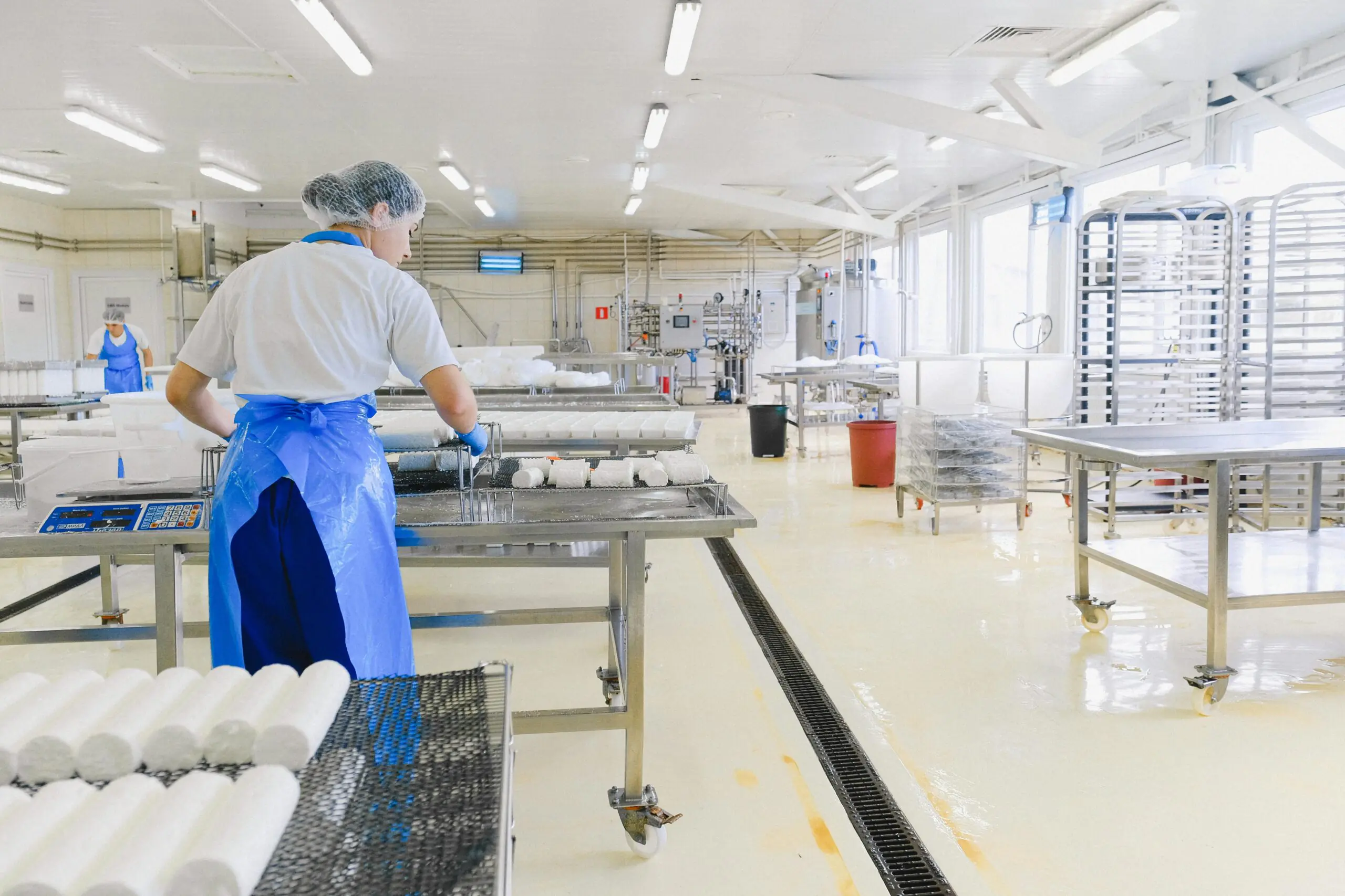 A clean food manufacturing facility with staff working